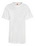 Custom Youth Hanes Comfortblend 50/50 (White Tees), Price/piece