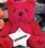 Custom Red GB Brites Bear, Price/piece