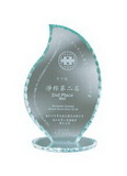 Custom Flame Award with Pearl Edge - Small, 8