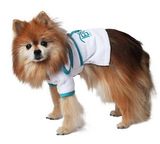Blank Hooded Pet Robe, White Velour with Teal Trim