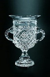 Custom 334-342619  - Galway Trophy Cup
