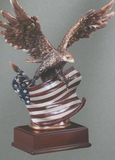 Blank American Eagle Series 12