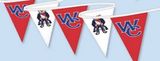 Custom 60' Printed Poly Pennant String- 1 Color