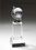Custom Revolving Crystal Globe Award (9"), Price/piece