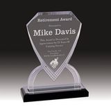Custom Silver Carved Shield Impress Acrylic Award (9