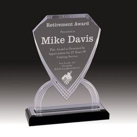 Custom Silver Carved Shield Impress Acrylic Award (9")