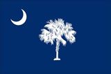 Custom Endura Poly Mounted South Carolina State Flag (12