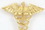 Custom Caduceus Symbol Stock Cast Pin, Price/piece