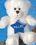 Custom 7" White Smitty Bear Stuffed Animal, Price/piece