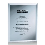 Custom Silver Mirror Plaque Award (8