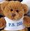 Custom Jamie Bear Stuffed Brown Bear, Price/piece