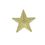 Blank Star Chenille Letter Pin, Price/piece