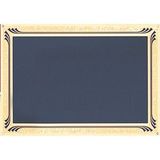 Blank Screened Plate W/Gold Frosted Etched Border (7