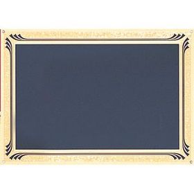 Blank Screened Plate W/Gold Frosted Etched Border (7"X10")