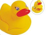 Custom Rubber Duck Holder w/ Lid