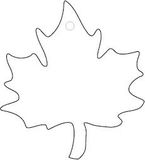 Custom Maple Leaf, 3.25