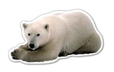 Custom Polar Bear Magnet - 5.1-7 Sq. In. (30MM Thick)