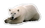 Custom Polar Bear Magnet - 5.1-7 Sq. In. (30MM Thick), Price/piece