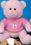Custom Q-Tee Collection Stuffed Pink Bear, Price/piece