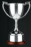 Custom Swatkins Endurance Wide Mouth Cup Award w/ Round Wood Base (7