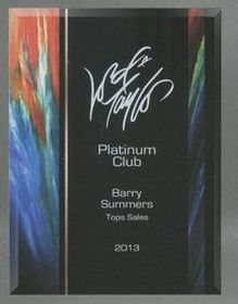 Blank Glass Plaque Award (9"x12")
