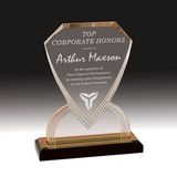 Custom Gold Carved Shield Impress Acrylic Award (9