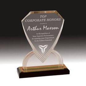Custom Gold Carved Shield Impress Acrylic Award (9")