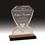 Custom Gold Carved Shield Impress Acrylic Award (9"), Price/piece