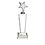 Custom Silver Star Crystal Trophy Award
