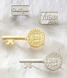 Custom Series 3600 Economical Sandblast Brass Lapel Pin (Up to 1