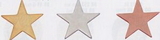 Custom Metallic Finish Flat Polished Star Pin (1