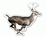 Custom Running Deer Magnet (7.1-9 Sq. In. & 30mm Thick)