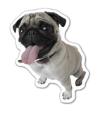 Custom Dog Magnet (7.1-9 Sq. In. & 30mm Thick)