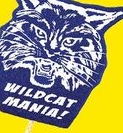 Custom Wildcat Mascot on a Stick