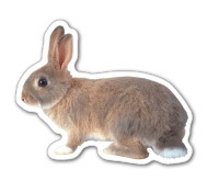 Custom 3.1-5 Sq. In. (B) Magnet - Bunny Rabbit #2 (4.12 Sq. In.), 30mm Thick