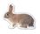 Custom 3.1-5 Sq. In. (B) Magnet - Bunny Rabbit #2 (4.12 Sq. In.), 30mm Thick, Price/piece