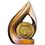 Custom Stock 9" Flame Trophy with 2" Badminton Coin and Engraving Plate, Price/piece