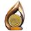 Custom Stock Flame Trophy with 5 1/2" Event Fishing Coin 13", Price/piece