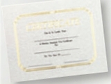 Custom Foil Embossed Stock Certificate, 8 1/2