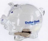 Custom Translucent Piggy Bank