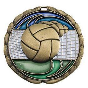 Custom 2 1/2" Color Epoxy Medallion Volleyball In Gold