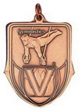 Custom 100 Series Stock Medal (Male Gymnastics) Gold, Silver, Bronze