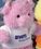 Custom Ruddly Family Stuffed Pink Pig, Price/piece