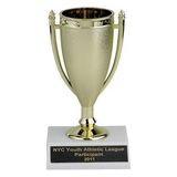Custom Plastic Trophy Cup (5 1/2