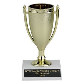 Custom Plastic Trophy Cup (5 1/2")