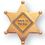 Blank Safety Patrol Star Award Lapel Pin, 7/8" L, Price/piece
