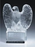 Custom Crystal Vigilante Eagle Award (7