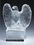 Custom Crystal Vigilante Eagle Award (7"), Price/piece