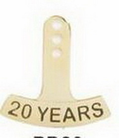 Custom Stock Die Struck Pin (20 Year)