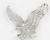 Custom Silver Eagle Stock Cast Pin